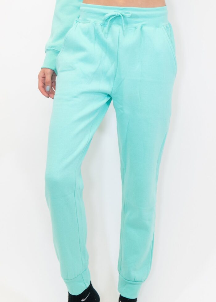 Mint Heavy Blend Fleece SweatPant