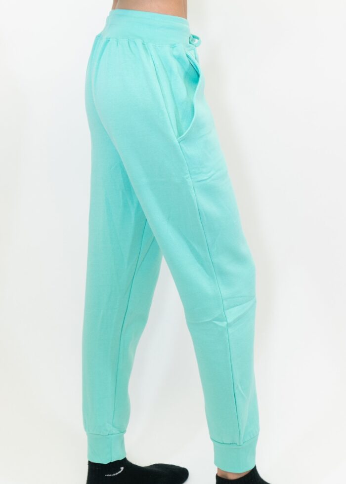 Mint Heavy Blend Fleece SweatPant - Image 3